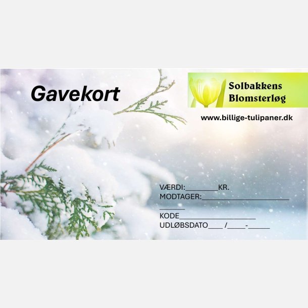 Gavekort