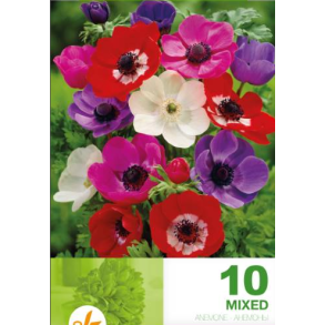 Franske Anemoner mix