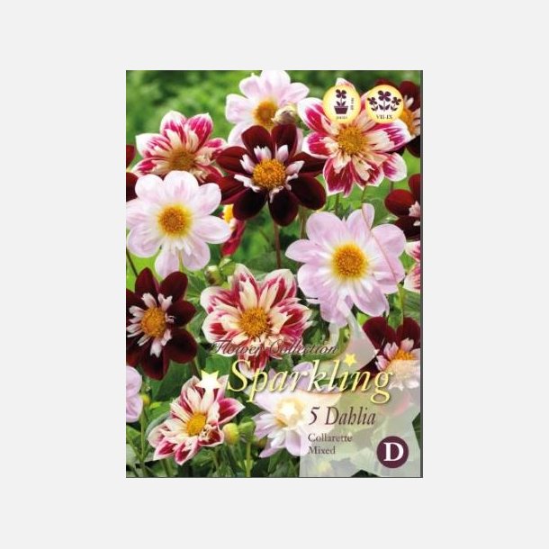 Dahlia Halskravemix 