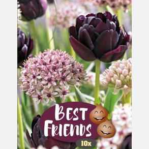 Chique Mistique mix 6 lg