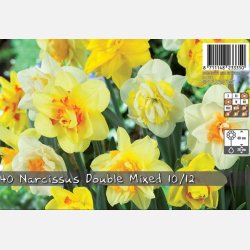 Narcis Double mix 20 l�g