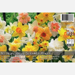 Narcis Scented mix 35 lg