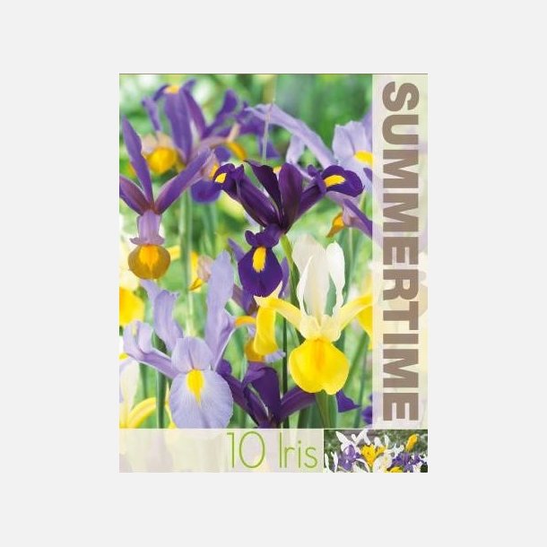 Iris Hollandica mix 10 lg