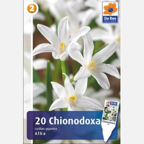 Stor Snepryd Alba 20 lg