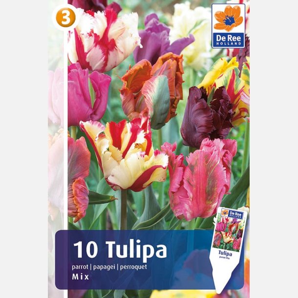 Tulipan Parrot Mix 10 lg